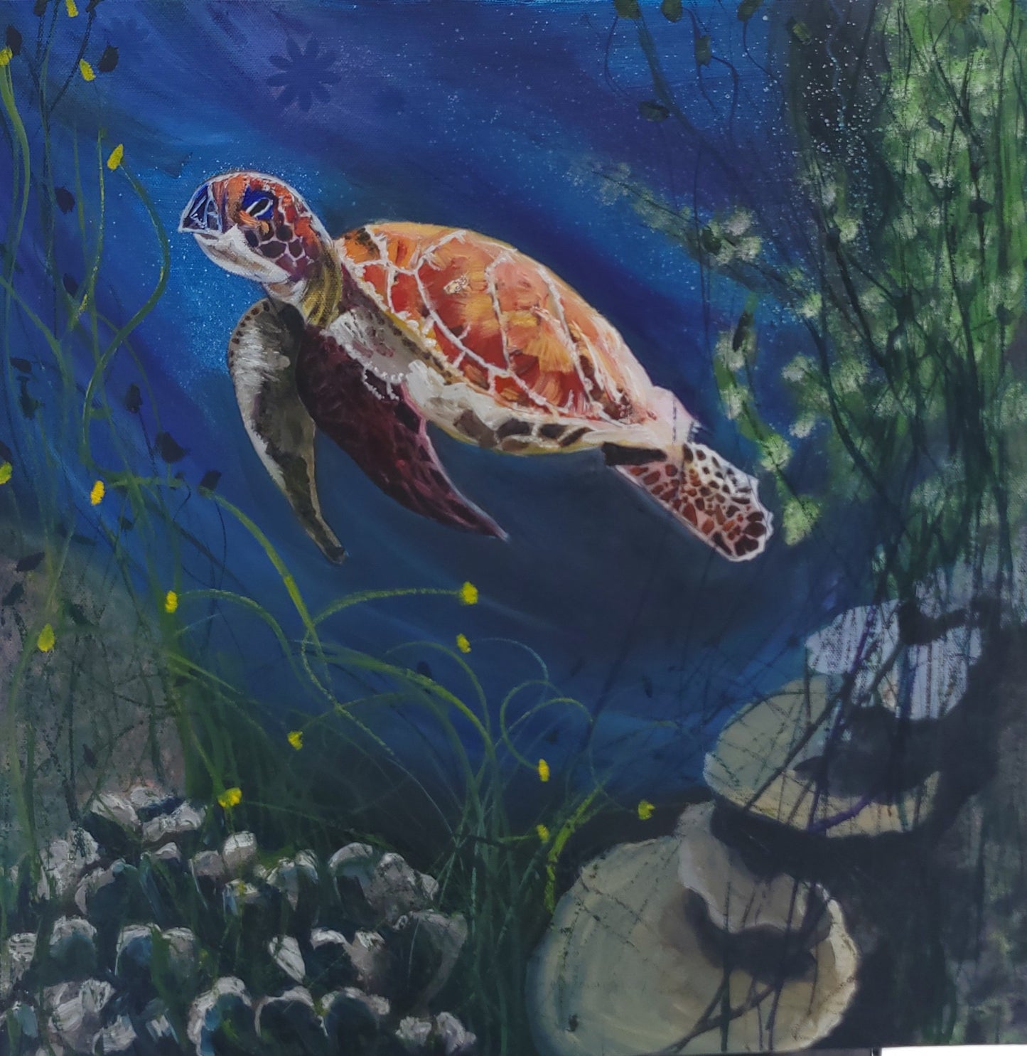 "SLOW & STEADY"--Original Painting