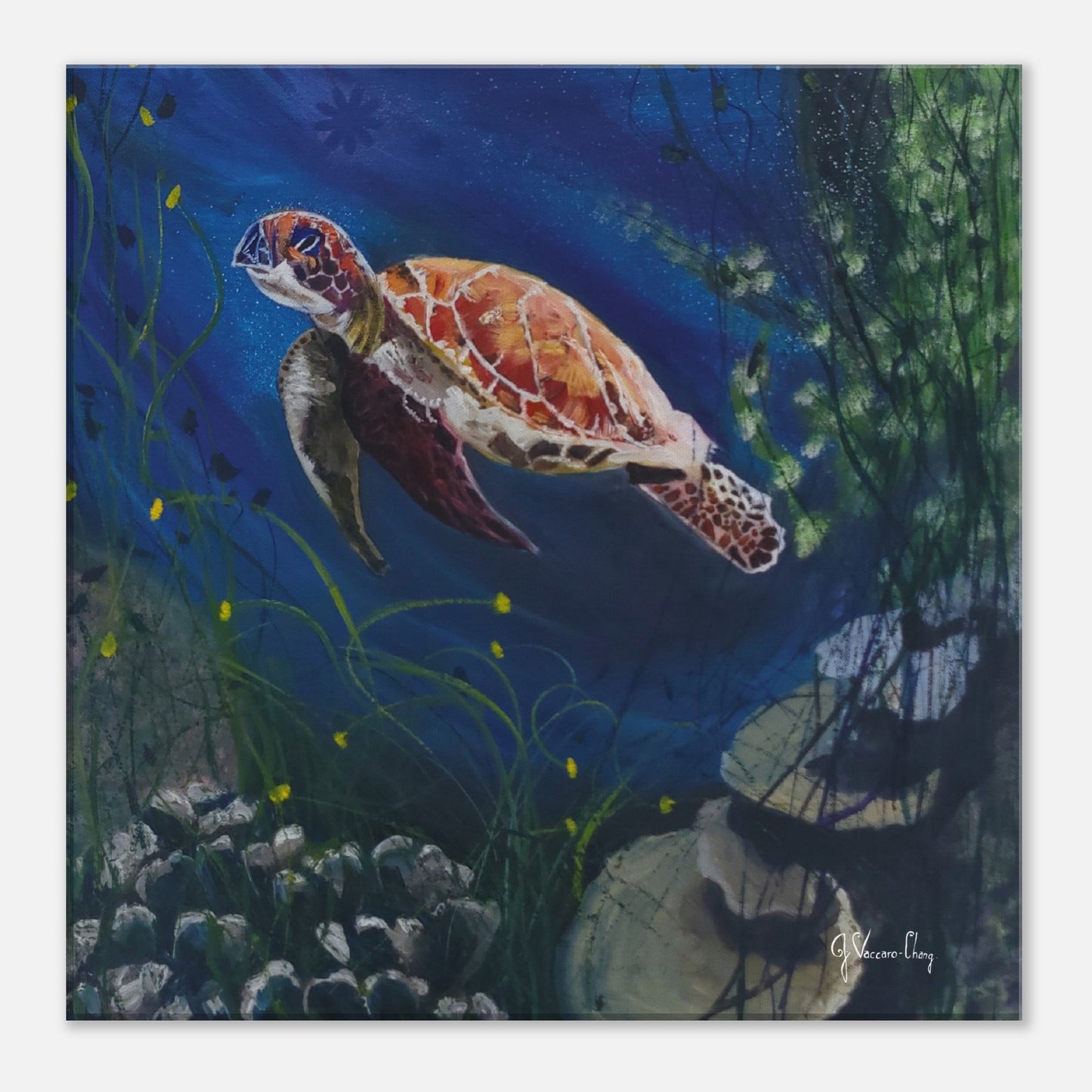 "SLOW & STEADY--Canvas Print